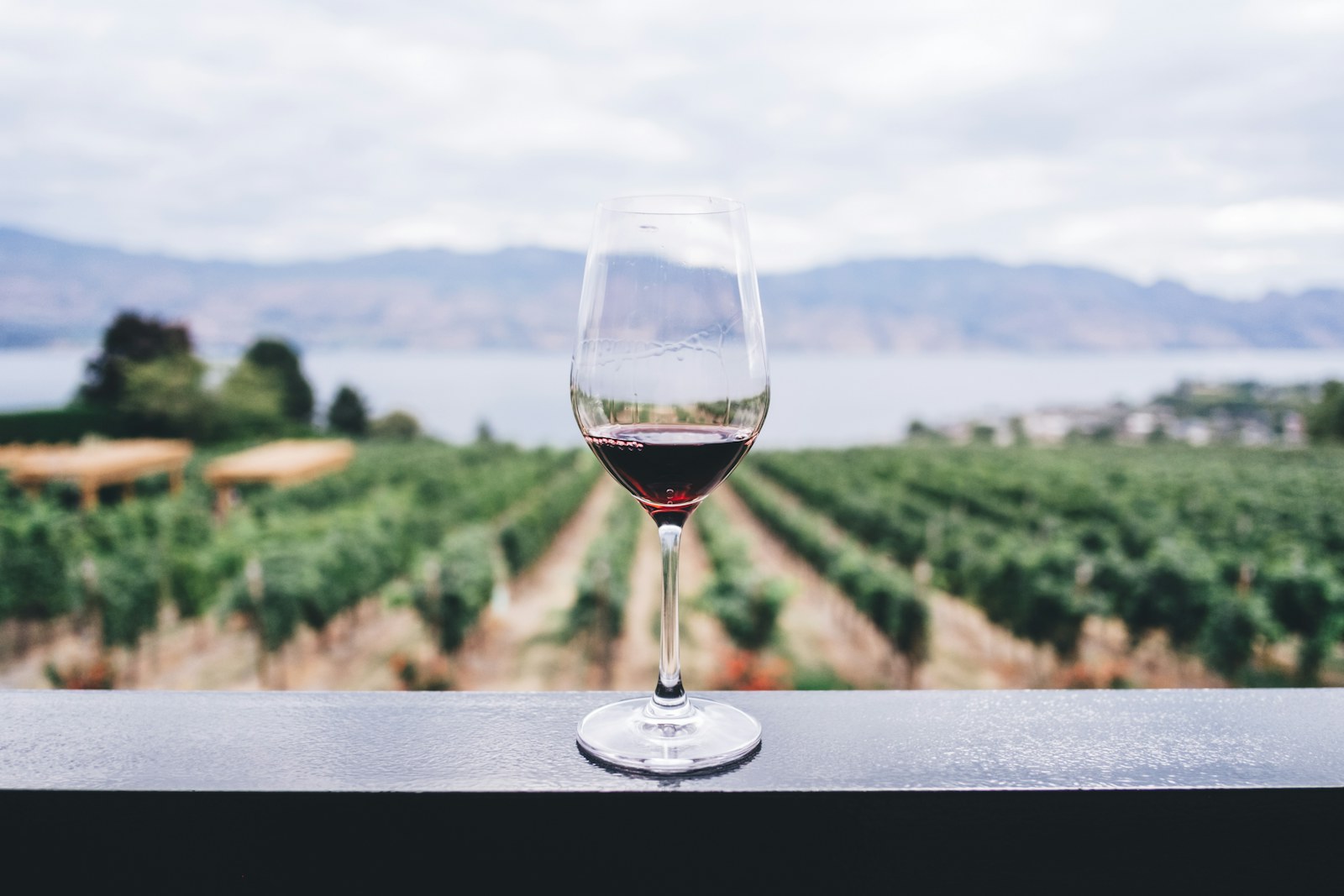 Domaine de Beaucastel