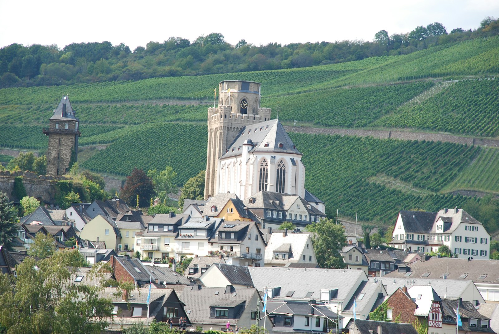 Domaine de la Romanée-Conti