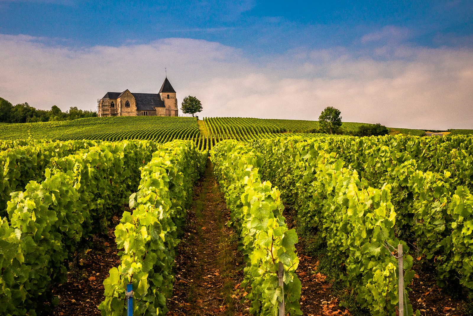 Château Margaux
